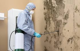 Best Mold Documentation for Insurance Claims in Rosemont, PA